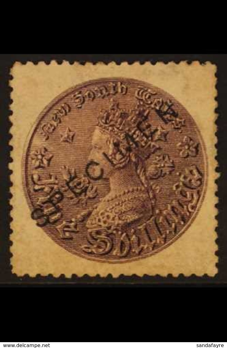 NEW SOUTH WALES 1861-88 5s Dull Violet Perf 13 With "SPECIMEN" Overprint, SG 174as, Unused No Gum, Scarce. For More Imag - Sonstige & Ohne Zuordnung