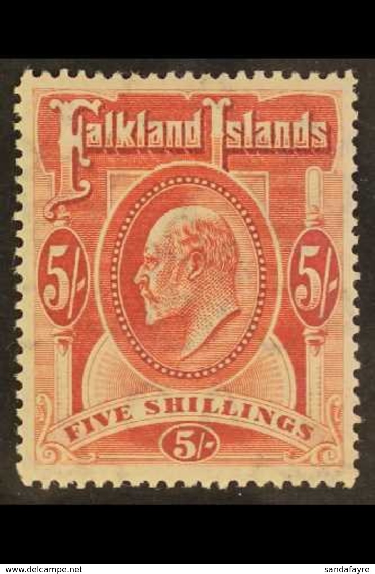 1904-12 KEVII 5s Red, SG 50, Very Fine Mint. For More Images, Please Visit Http://www.sandafayre.com/itemdetails.aspx?s= - Falkland Islands