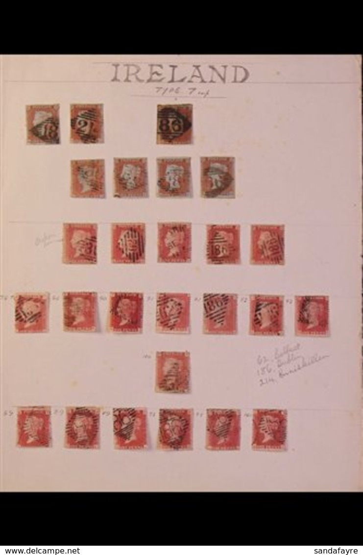 GB USED IN IRELAND 1841-64 PENNY REDS (imperfs, "Stars" & Plate Numbers) Collection Of Used Stamps On A Page, Cancelled  - Sonstige & Ohne Zuordnung