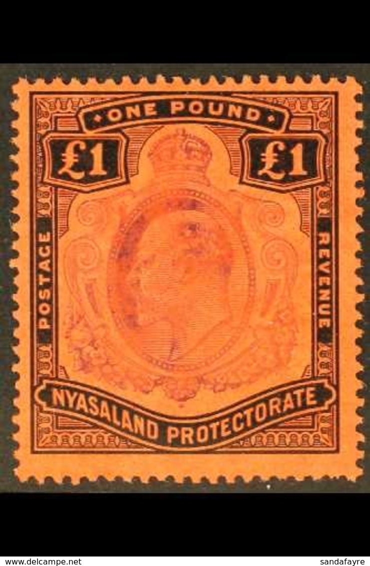 1908-11 £1 Purple And Black On Red, SG 81, Fine Mint. For More Images, Please Visit Http://www.sandafayre.com/itemdetail - Nyasaland (1907-1953)