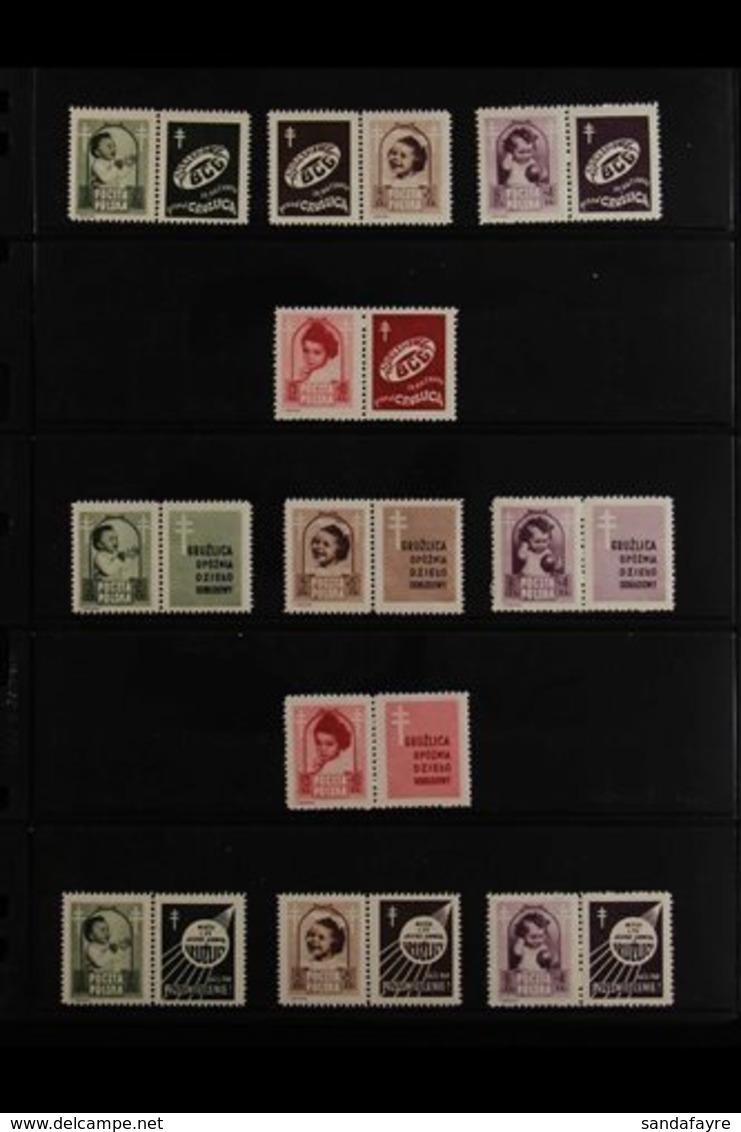 1948 Anti-Tuberculosis Fund All Ten Different Complete Sets Of Se-tenant Horiz Pairs With Various Labels (Michel 511/14  - Sonstige & Ohne Zuordnung