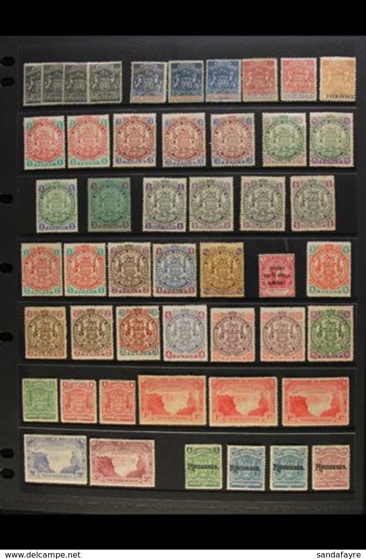 1892-1917 MINT ACCUMULATION CAT £1500+ Presented On A Pair Of Stock Pages. Includes 1892-95 Arms Ranges To 8d, 1896-97 D - Other & Unclassified