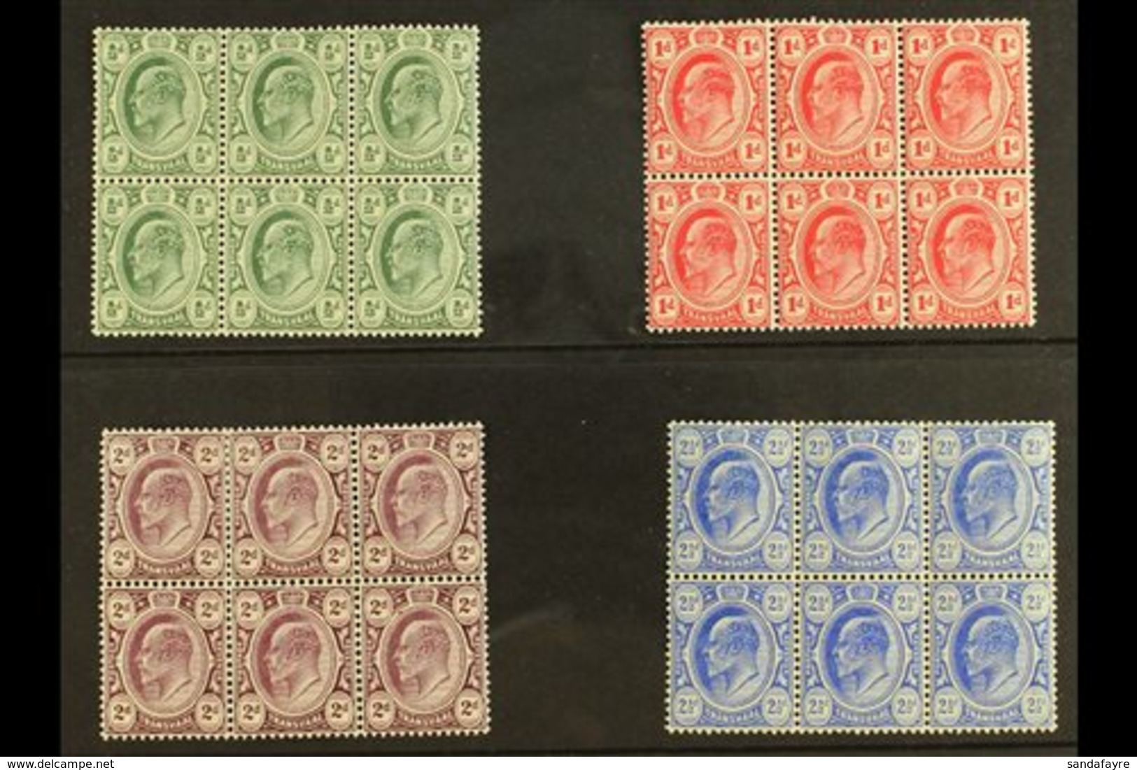 TRANSVAAL 1905-09 KEVII Set, SG 273/76, In Very Fine Mint BLOCKS OF SIX (3 X 2), At Least 4 Stamps In Each Block Never H - Non Classés