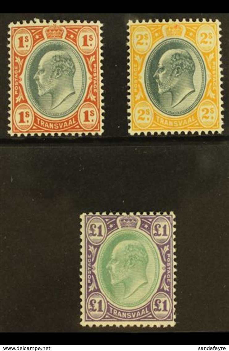 TRANSVAAL 1903 Ed VII Set 1s To £1, Wmk Crown CA, SG 256/8, Very Fine Mint. (3 Stamps) For More Images, Please Visit Htt - Ohne Zuordnung