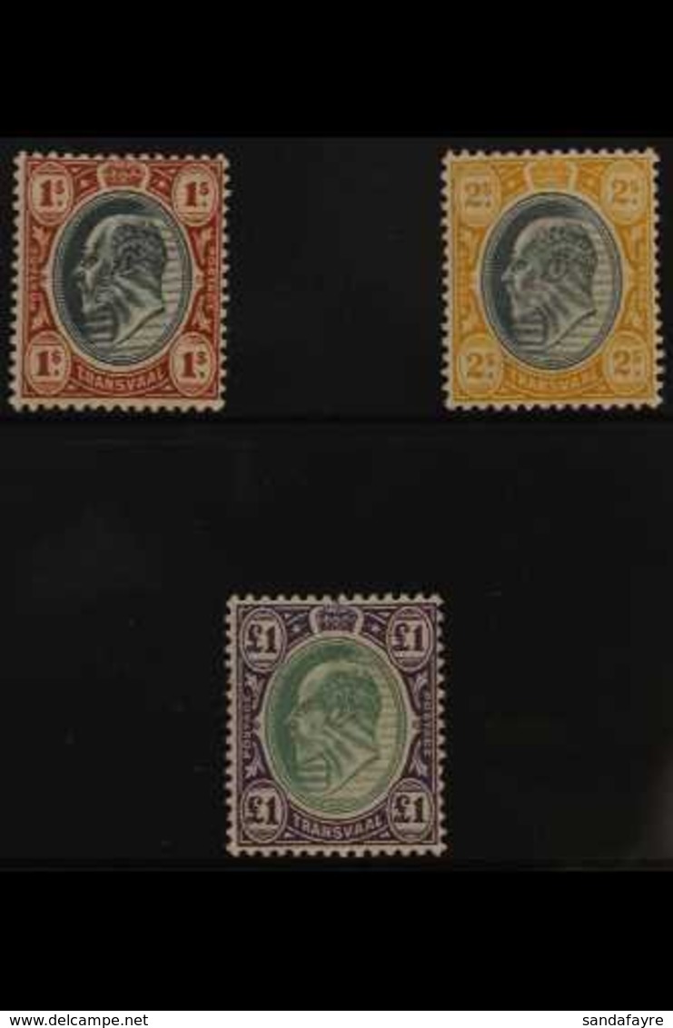 TRANSVAAL 1903 KEVII CA Wmk Set To £1, SG 256/258, Very Fine, Lightly Hinged Mint (3 Stamps) For More Images, Please Vis - Unclassified