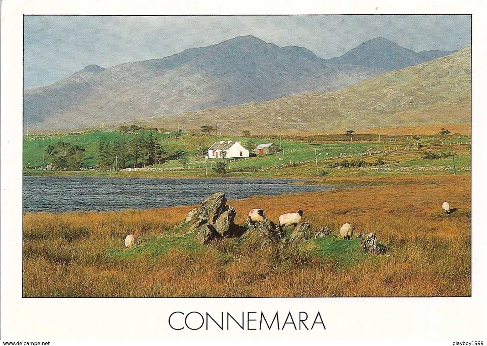 Irlande - CONNEMARA - 1 Timbre Philatélique Au Verso - Voir Scan - Cpm - écrite - - Dublin