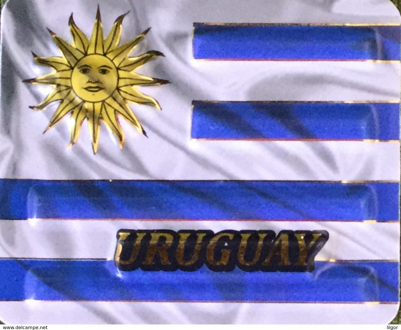 Uruguay Flag 3D Fridge Magnet, From Uruguay - Magnets