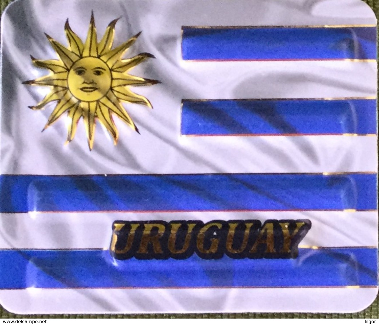 Uruguay Flag 3D Fridge Magnet, From Uruguay - Magnete