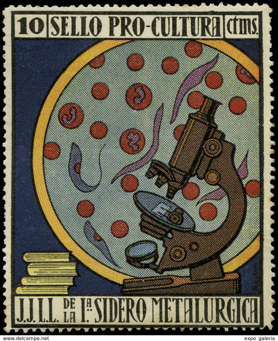 All. * 1972 - Pro Cultura. La Sidero Metalúrgica. 10 Cts. Muy Bonito. Raro - Vignettes De La Guerre Civile