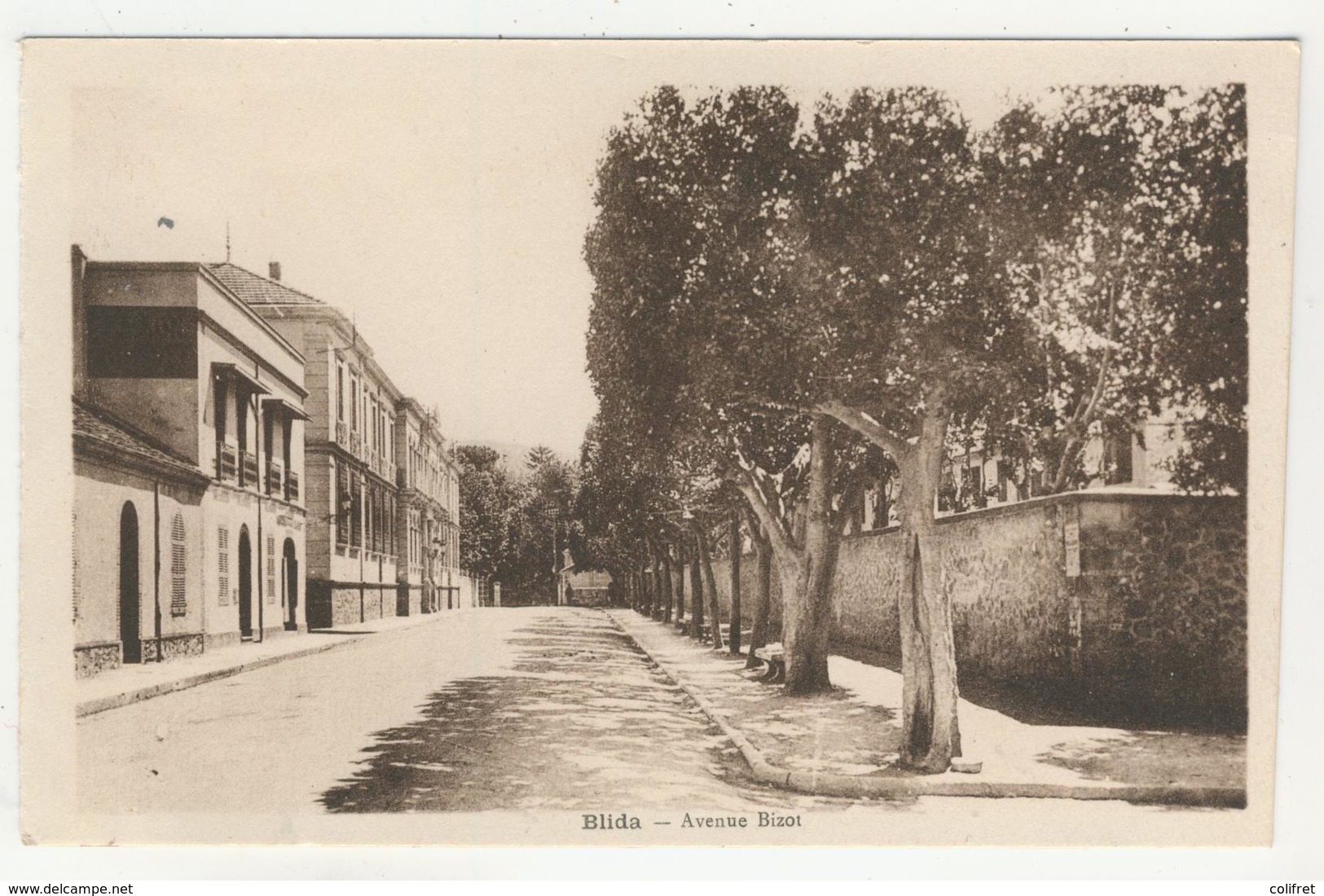 Blida -       Avenue Bizot - Blida