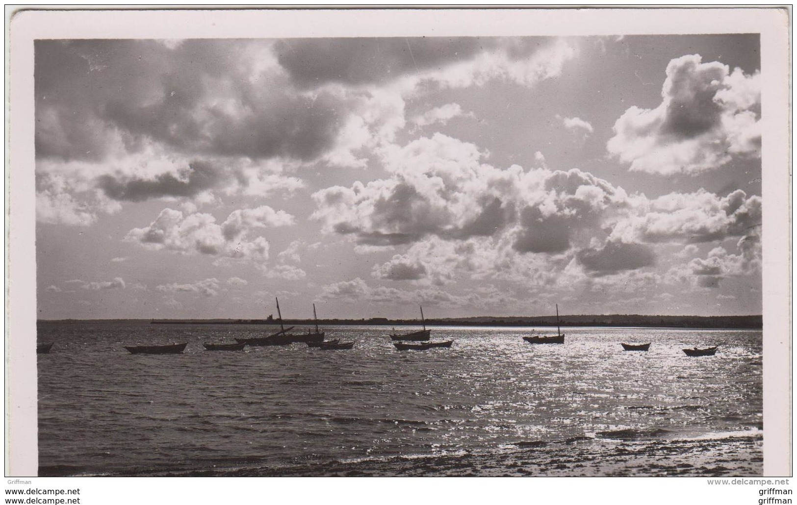 SAINT VAAST LA HOUGUE REVILLE LE PORT A CONTRE JOUR SUR LE PORT DE REVILLE CPSM 9X14 TBE - Saint Vaast La Hougue