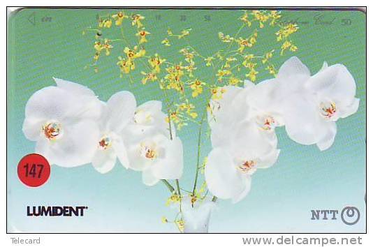 Télécarte Japon - GERMANY Related  Deutschland Related (147) Lumident - Publicidad