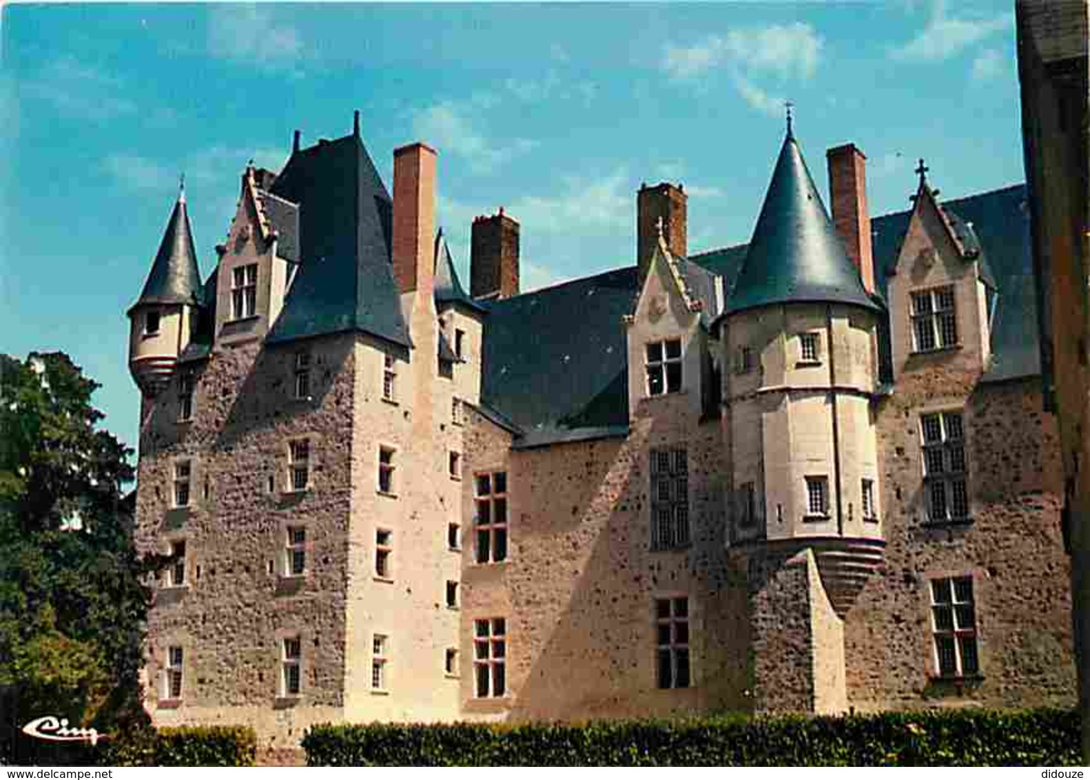 49 - Baugé - Le Château - Carte Neuve - Voir Scans Recto-Verso - Autres & Non Classés