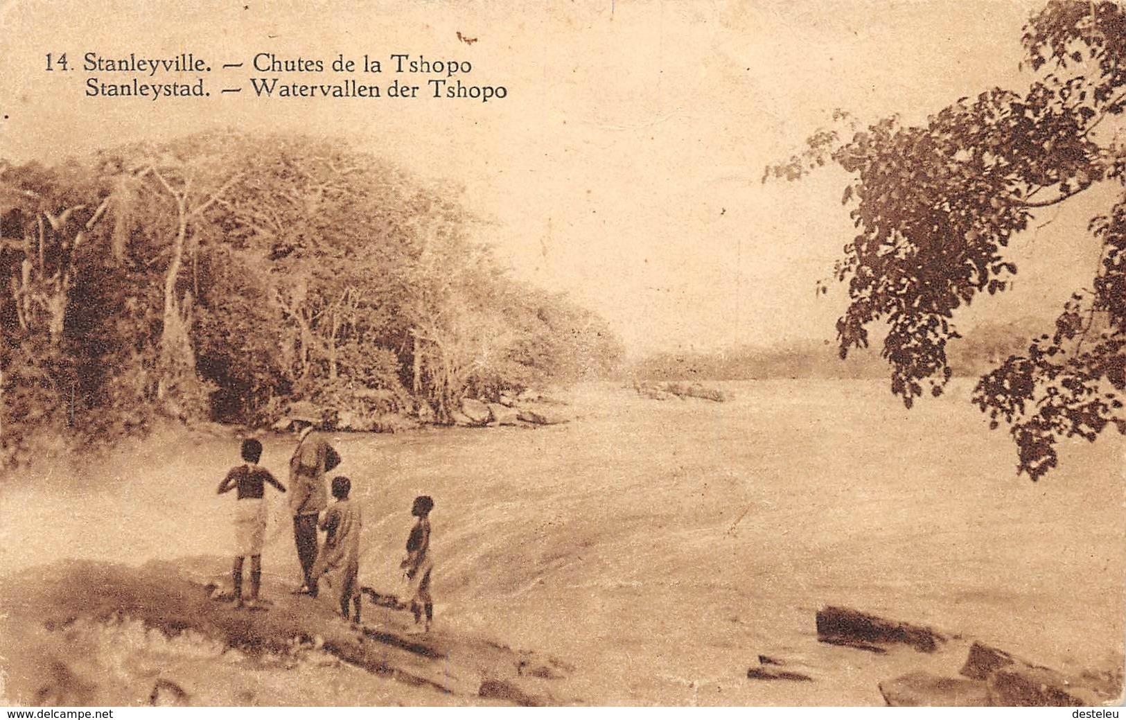 Chutes De La Tshopo Stanleyville Nr 14 CONGO - Autres & Non Classés