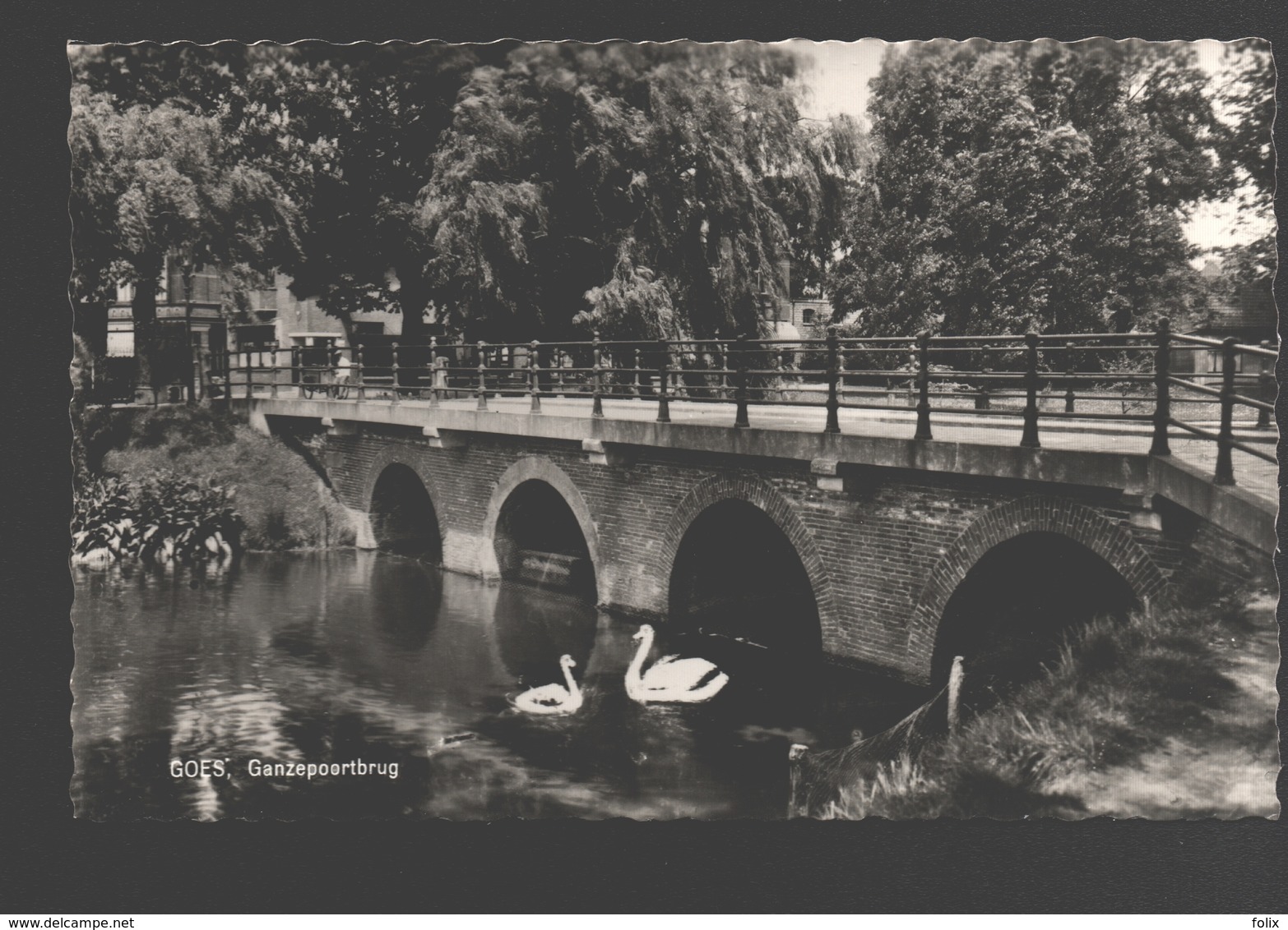 Goes - Ganzepoortbrug - Zwaan / Cygne / Schwan / Swan - Goes