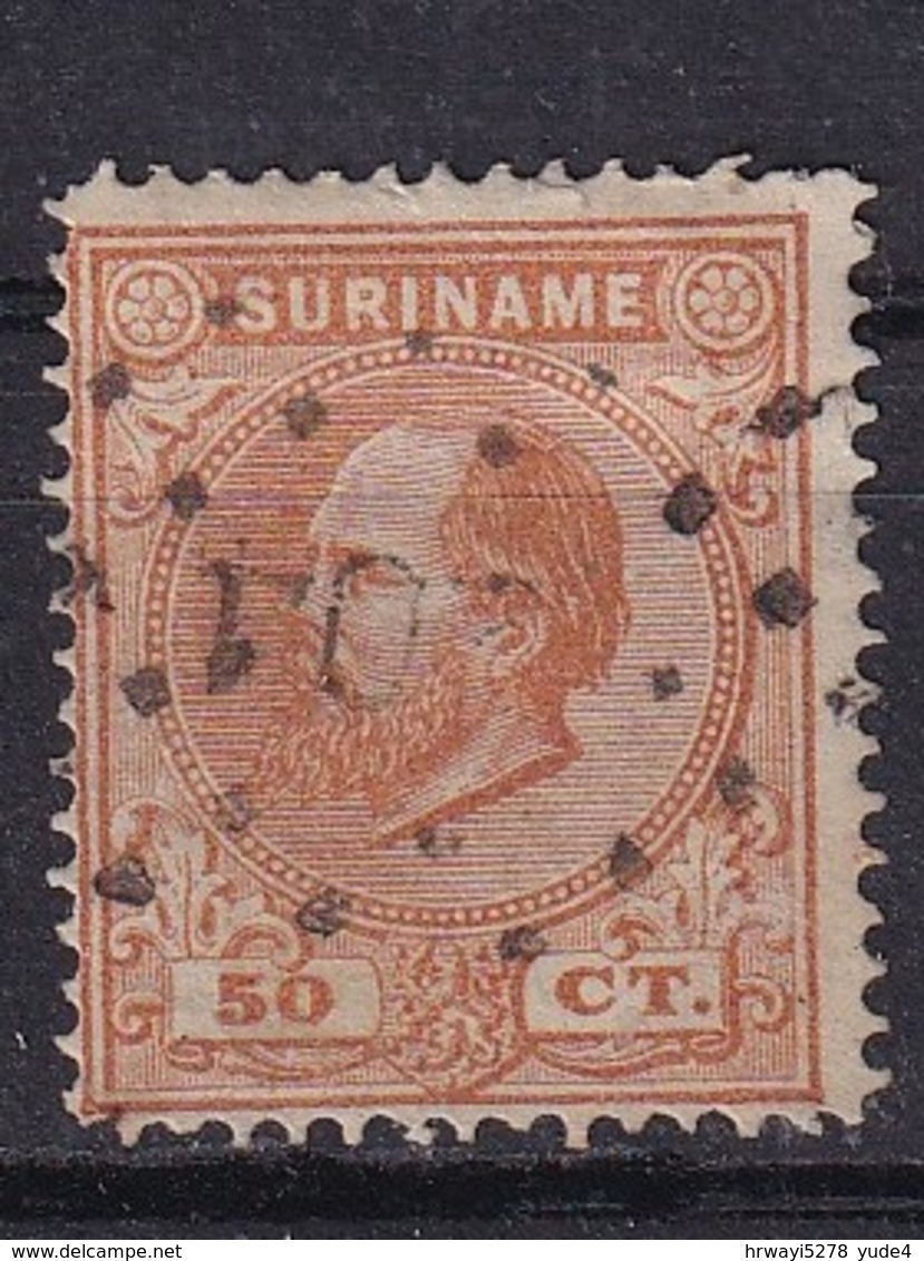 Dutch Surinam 1873, Nvphnr 13. Cw 25 Euro - Suriname ... - 1975