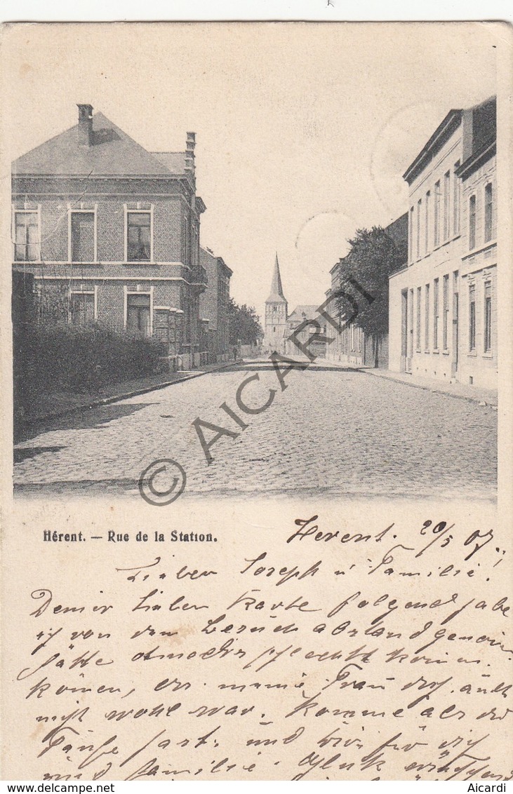 Postkaart/Carte Postale HERENT Rue De La Station 1907 (C465) - Herent