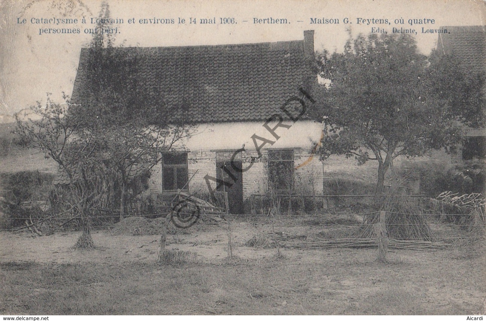 Postkaart/Carte Postale BERTEM Le Cataclysme A Louvain - Maison G.Feytens  (C470) - Bertem