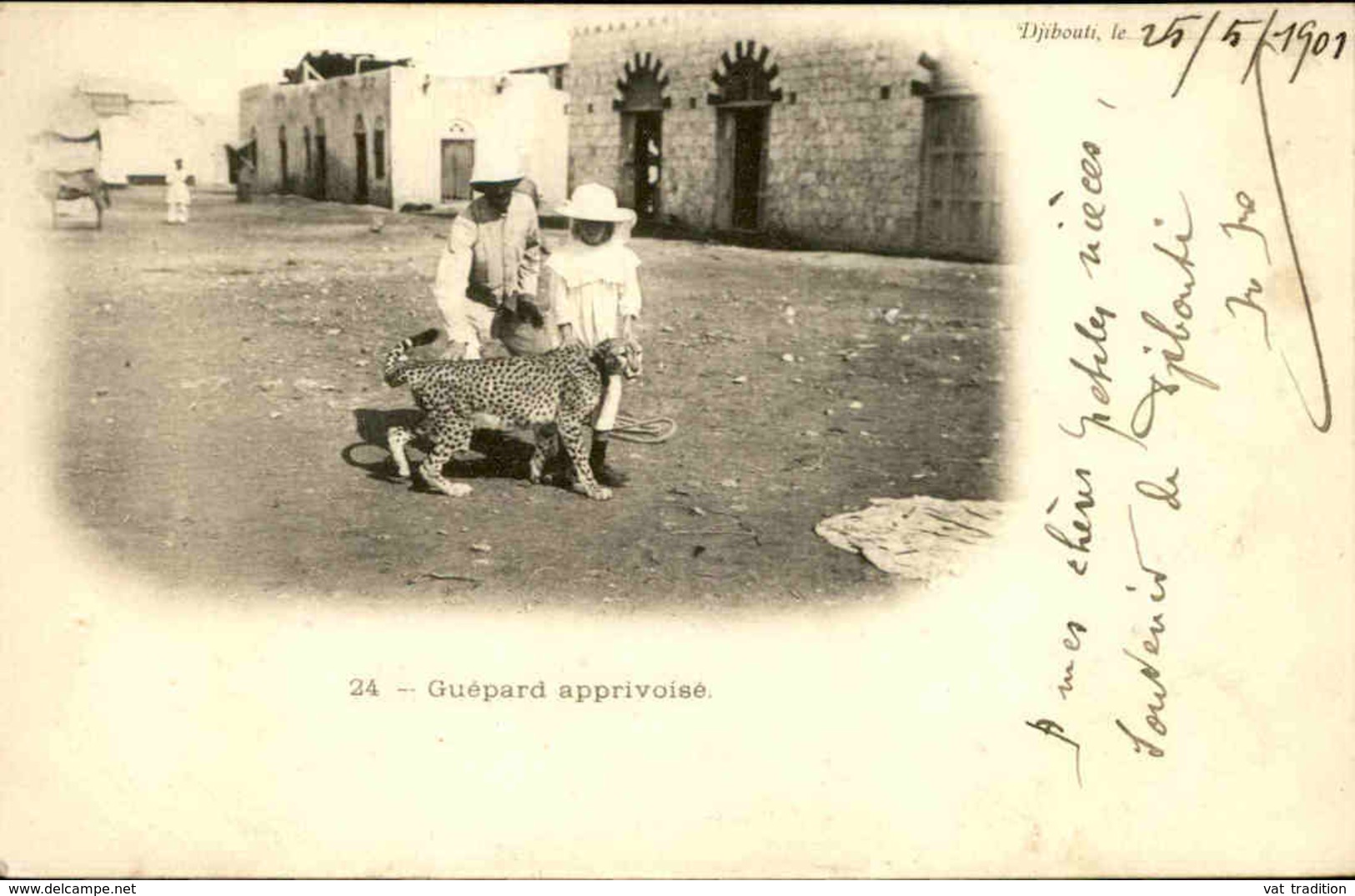 DJIBOUTI - Carte Postale - Guépard Apprivoisé - L 29805 - Djibouti