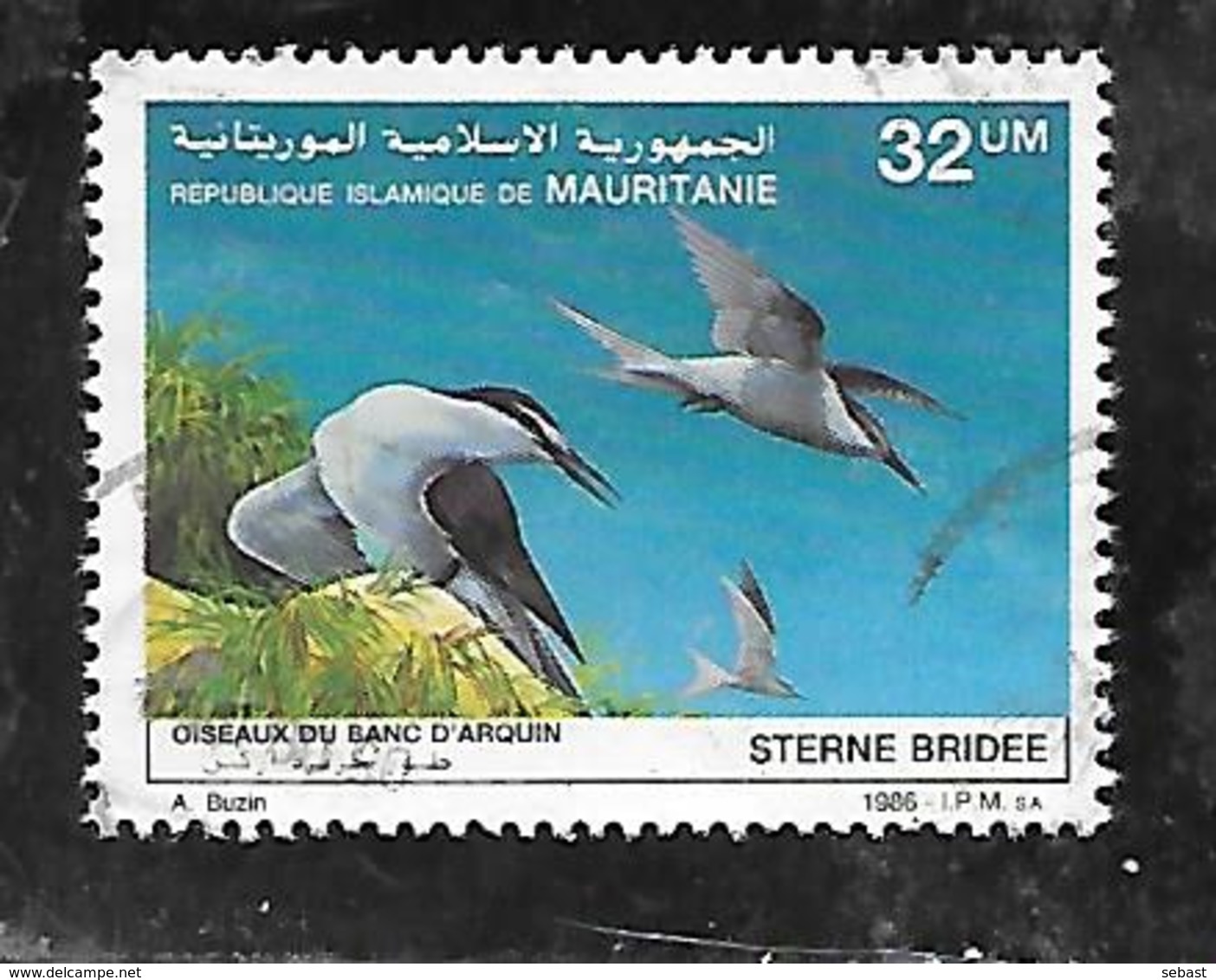 TIMBRE OBLITERE DE MAURITANIE DE 1986  N° MICHEL 902 - Mauritanie (1960-...)