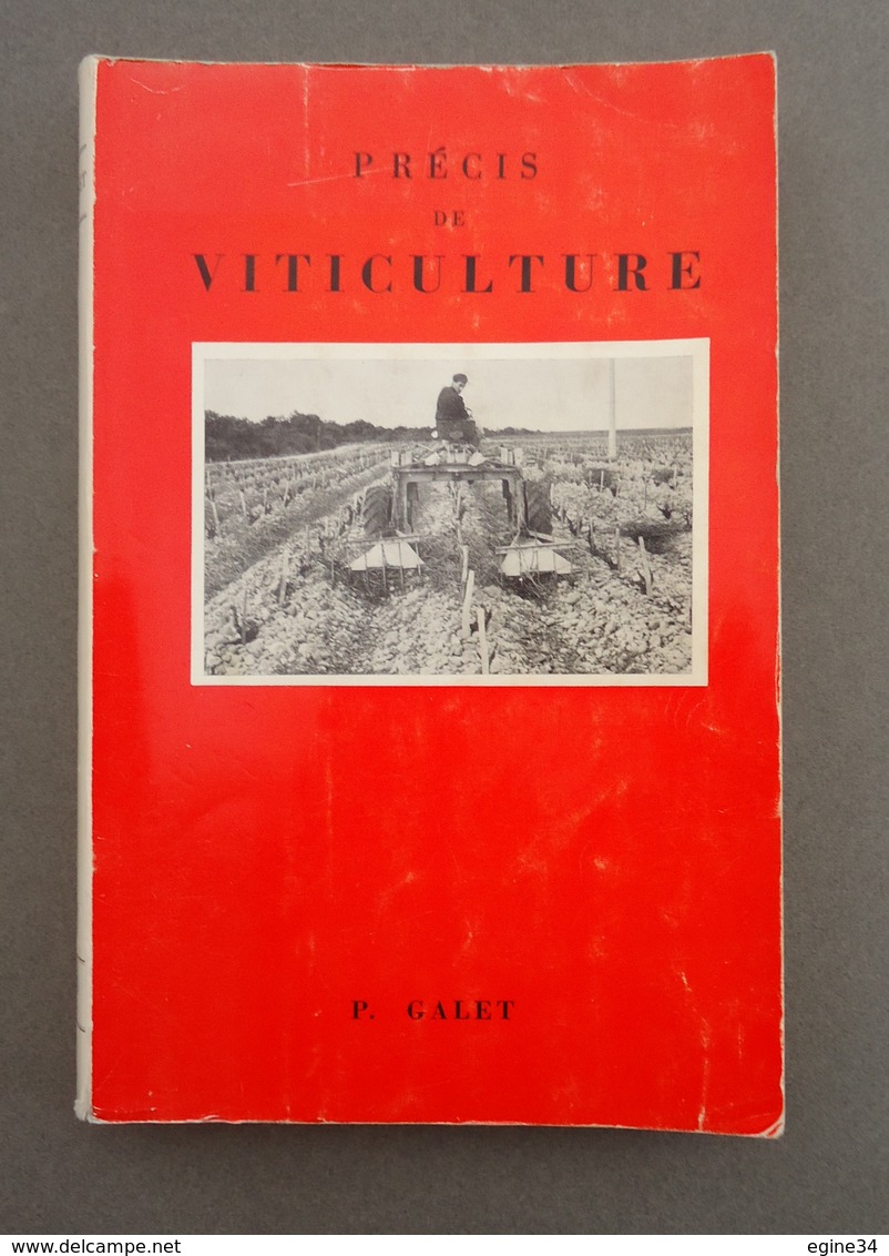 Viticulture Oenologie Agronomie - P. Galet - Précis De Viticulture  - 1970 -  Gravures Et Planches Couleurs - Nature