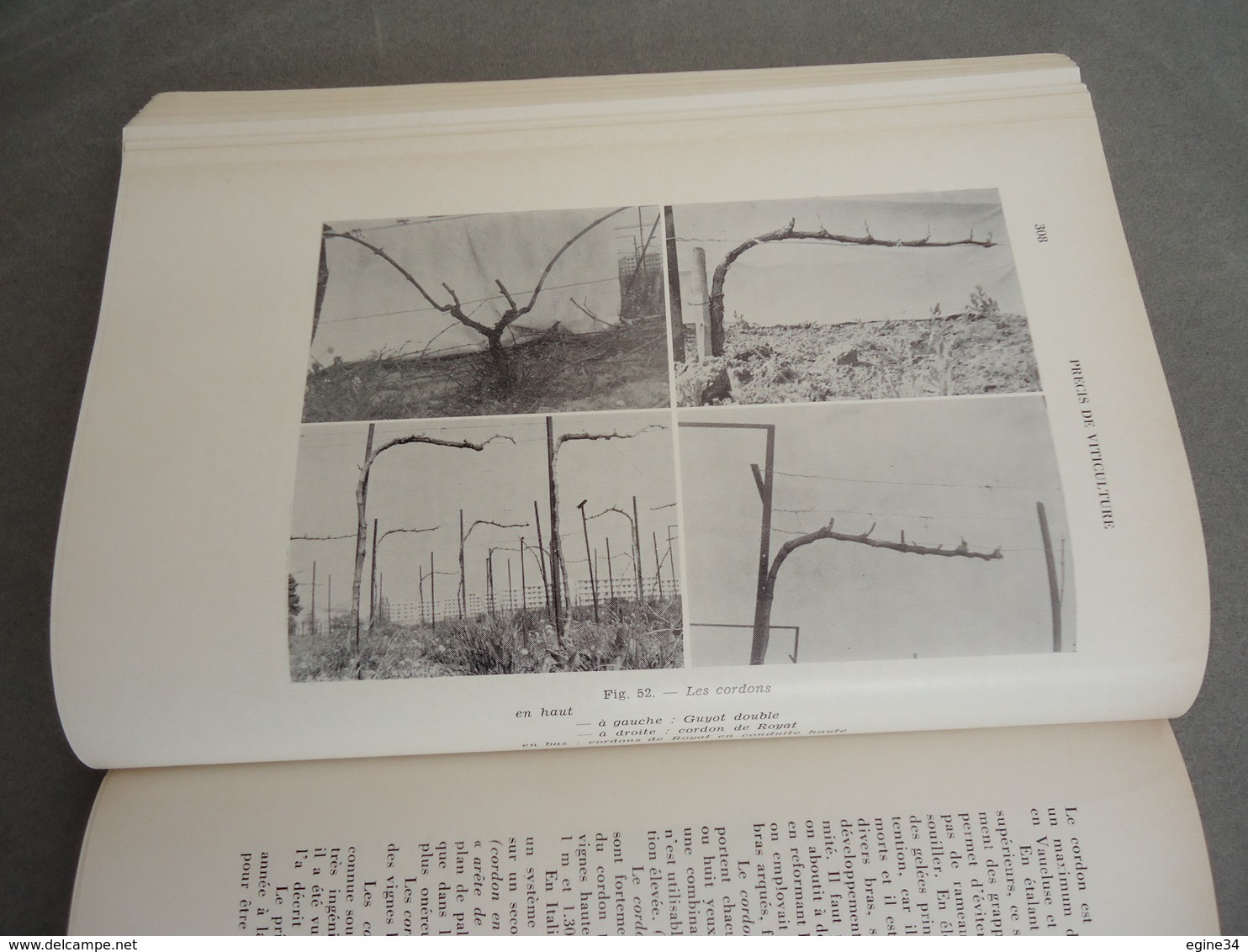 Viticulture Oenologie Agronomie - P. Galet - Précis de Viticulture  - 1970 -  gravures et planches couleurs