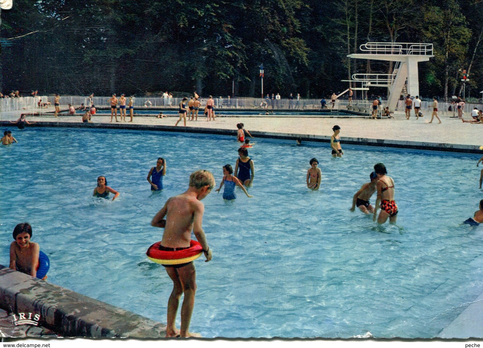 N°72946 GF-cpsm Flers De Orne -stade Municipal- - Natation