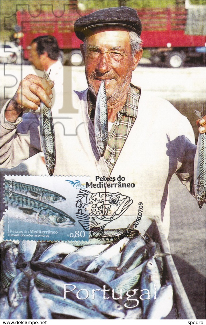 Maximo Peixes Mediterrâneo 2016 EUROMED Postal Maximum Maxicard Fauna Fish Scomber Scombrus Sarda Poisson Fisch Pesce - Tarjetas – Máximo