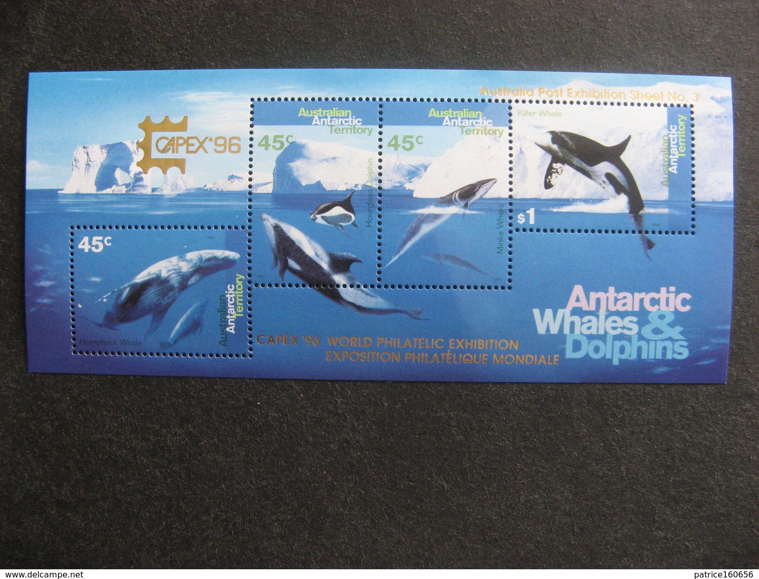 Territoire Antarctique Australien: TB BF N° 3, Neuf XX. - Unused Stamps