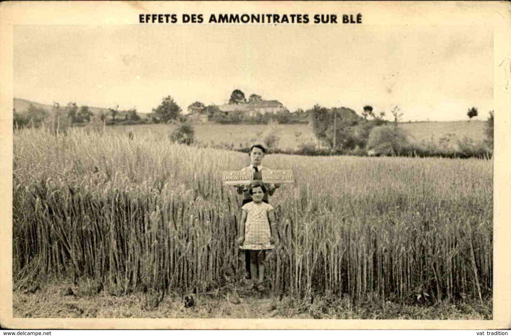 AGRICULTURE - Carte Postale Publicitaire - Effets Des Ammonitrates Sur Le Blé - L 29911 - Culture