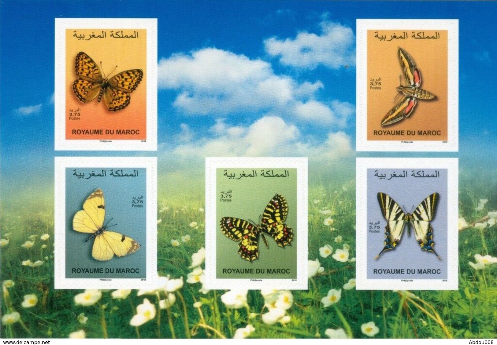 2019 - Papillons - Butterflies - Maroc (1956-...)