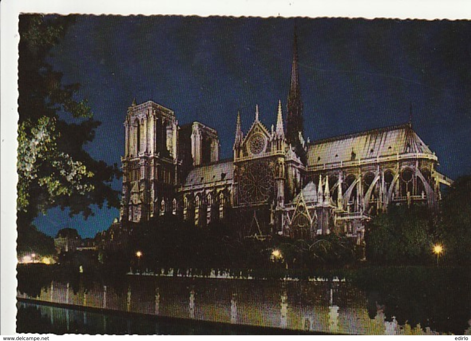 ***   75  ***  PARIS  Notre Dame De Paris - La Nuit écrite - Notre Dame De Paris