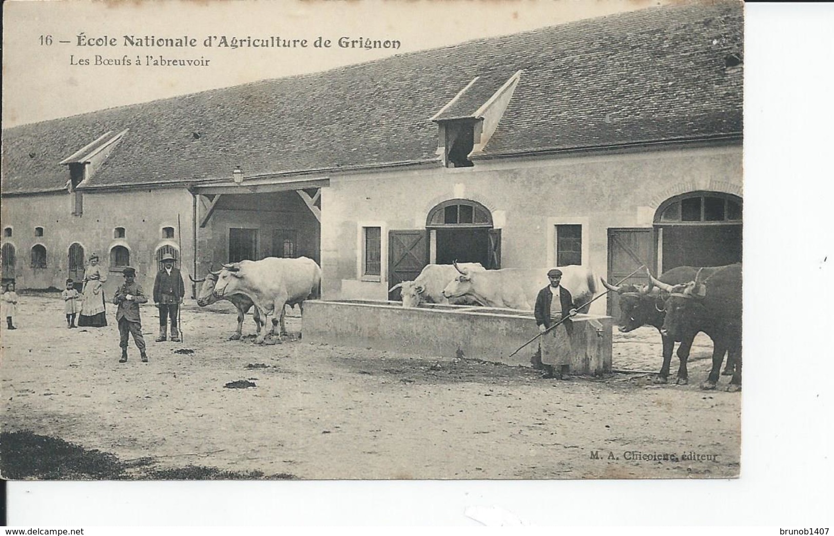 GRIGNON    Ecole D'agriculture Les Boeufs A L'abreuvoir - Grignon