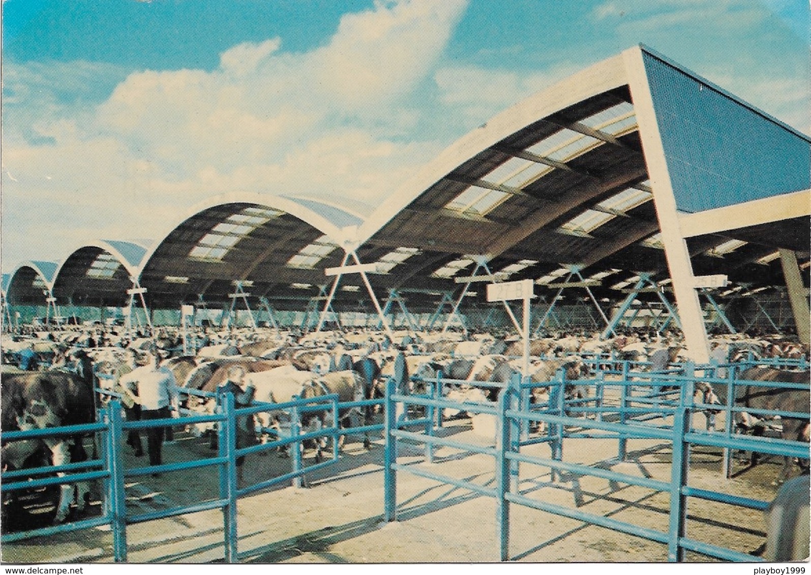 35 - FOUGÈRES - Marché De Bestiaux - L'Aumaillerie - Les Parcs Avec Plusieurs Bovins - Cpm - Vierge - - Fougeres