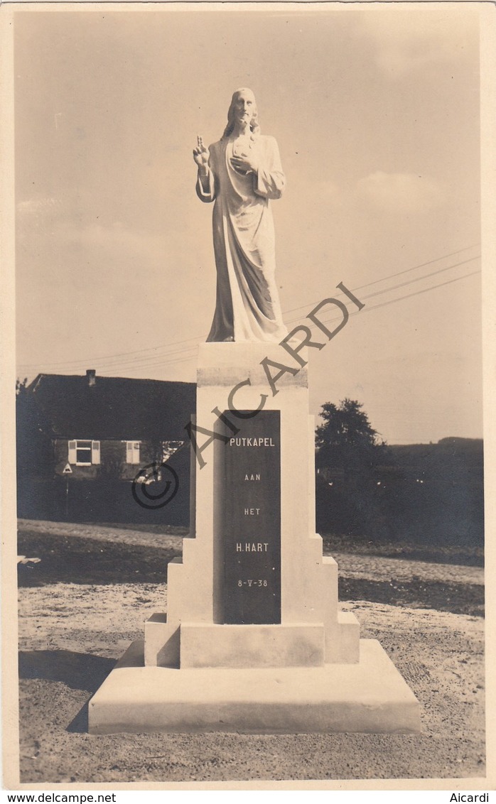 Postkaart/Carte Postale WILSELE PUTKAPEL  (C474) - Leuven