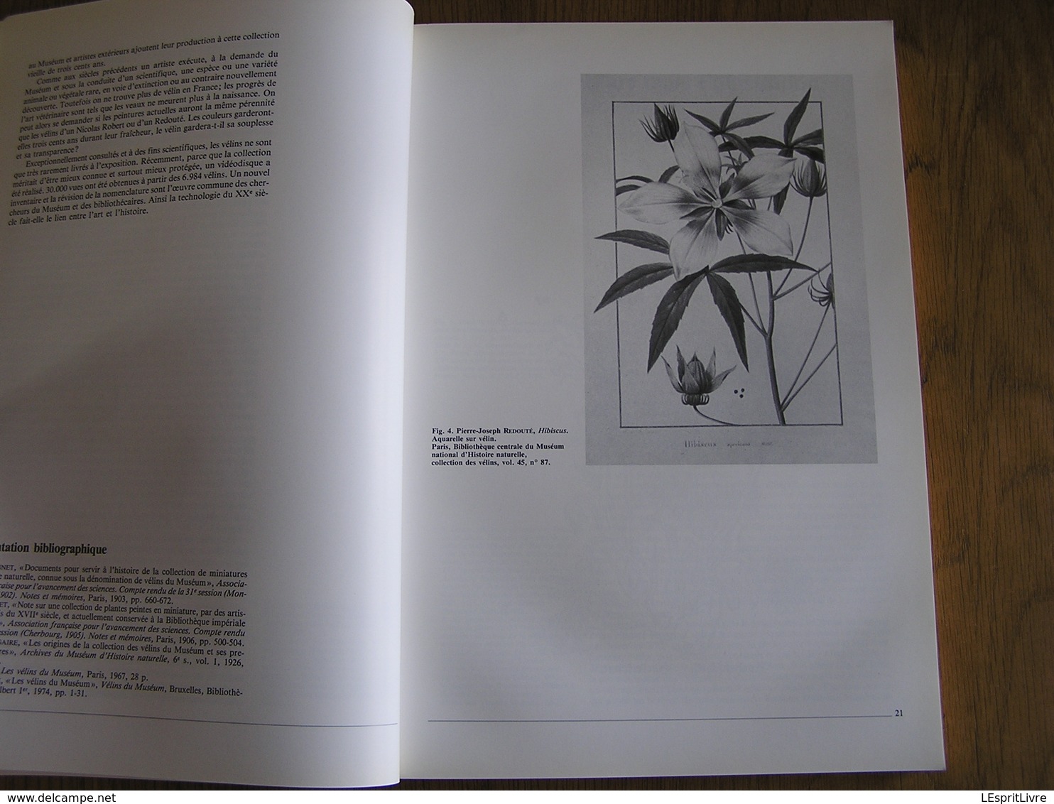 HENRI-JOSEPH REDOUTE & L'Expédition de Bonaparte en Egypte Régionalisme Peintre Animalier Botanique Archéologie Napoléon