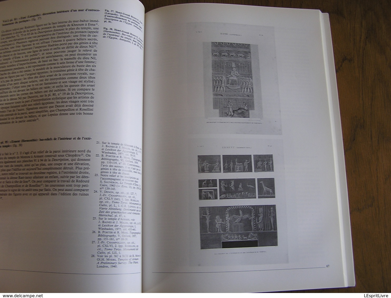 HENRI-JOSEPH REDOUTE & L'Expédition de Bonaparte en Egypte Régionalisme Peintre Animalier Botanique Archéologie Napoléon