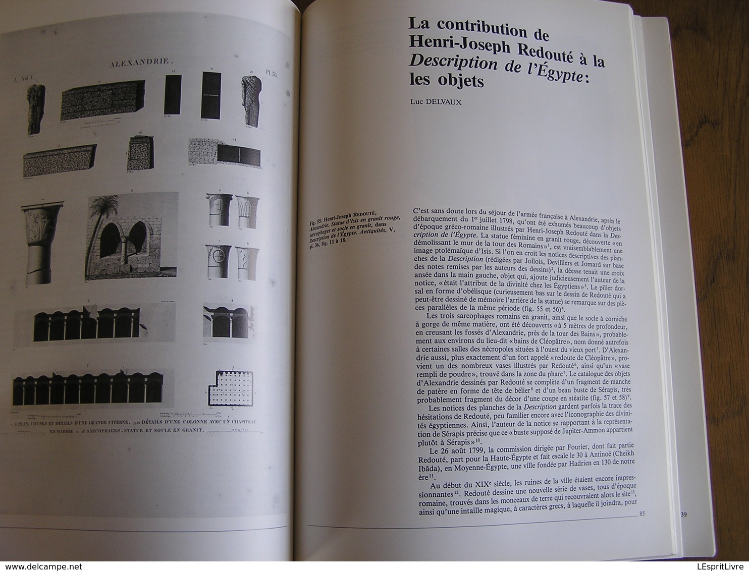 HENRI-JOSEPH REDOUTE & L'Expédition de Bonaparte en Egypte Régionalisme Peintre Animalier Botanique Archéologie Napoléon