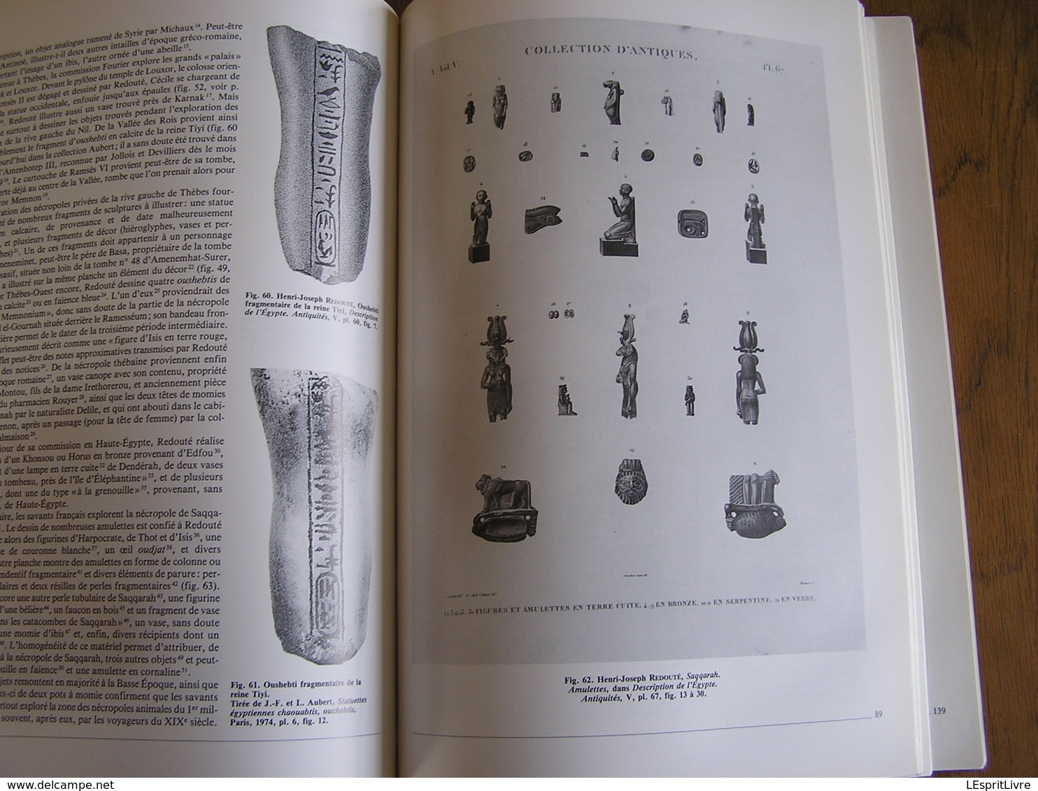 HENRI-JOSEPH REDOUTE & L'Expédition de Bonaparte en Egypte Régionalisme Peintre Animalier Botanique Archéologie Napoléon