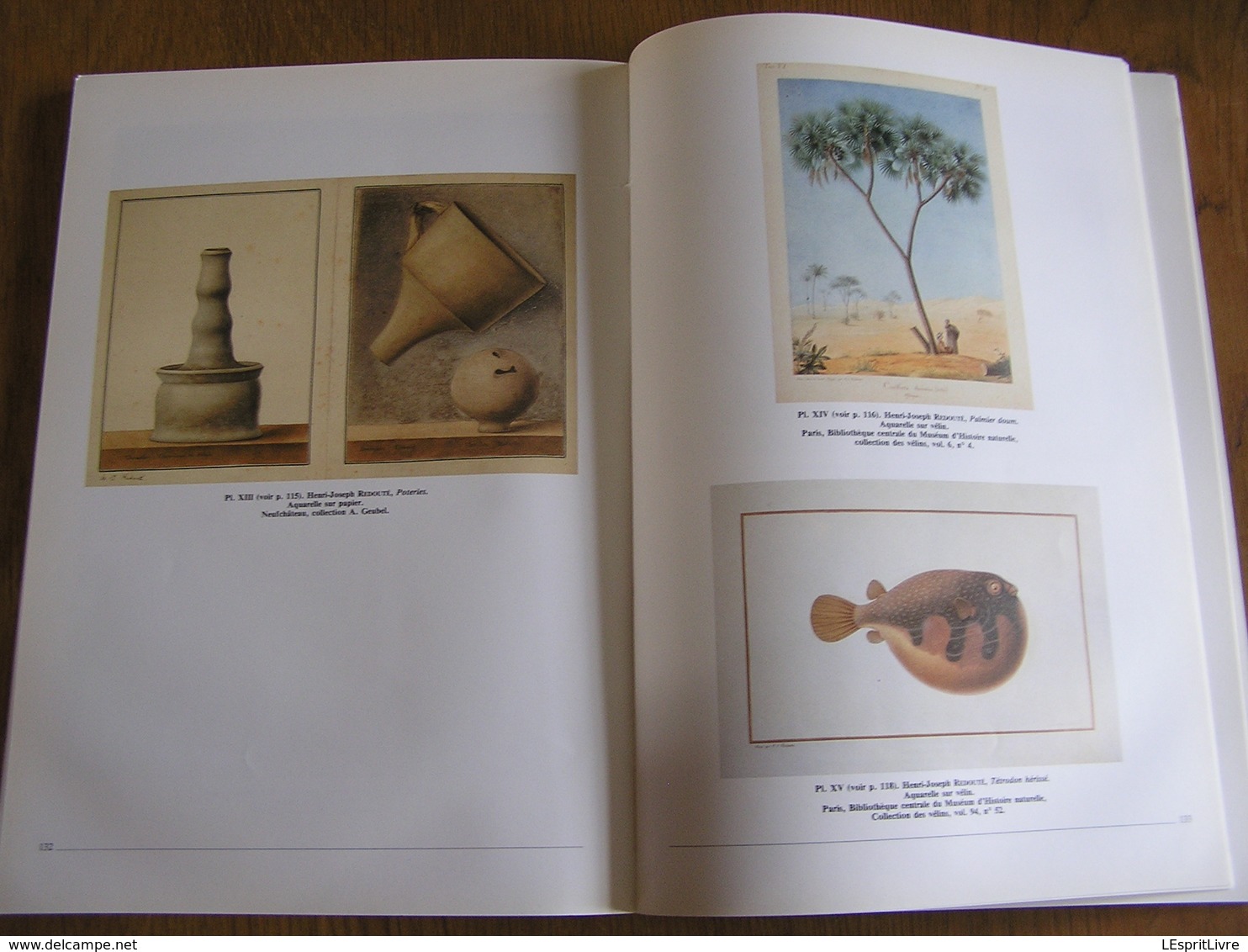 HENRI-JOSEPH REDOUTE & L'Expédition de Bonaparte en Egypte Régionalisme Peintre Animalier Botanique Archéologie Napoléon