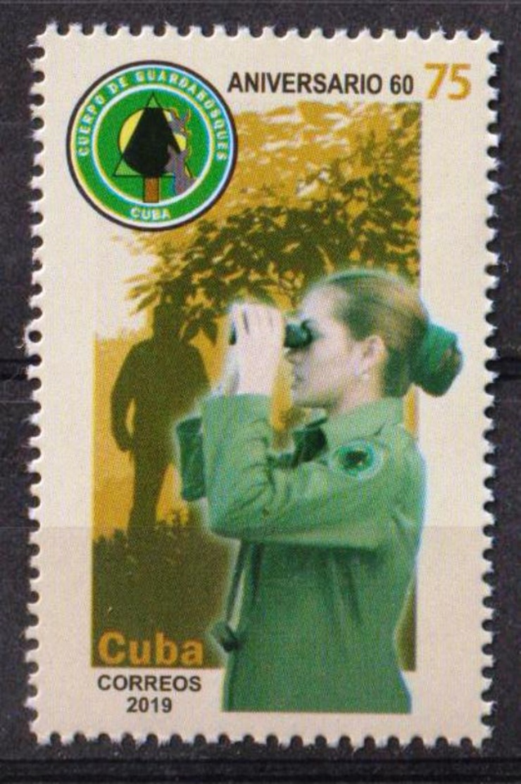 Cuba 2019 60th Anniversary Of Safe Wood 1v MNH - Ungebraucht