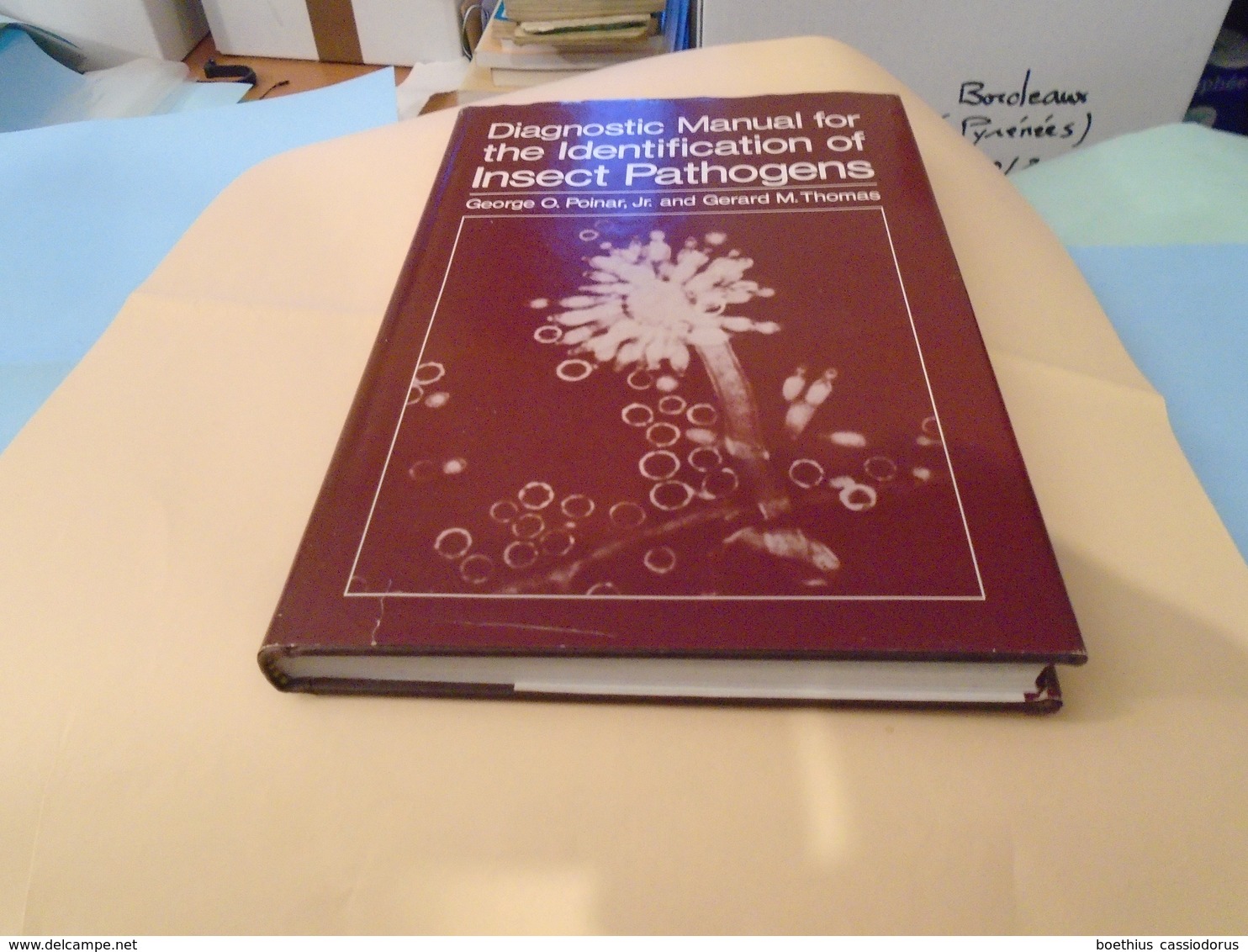 DIAGNOSTIC MANUAL FOR THE IDENTIFICATION OF INSECT PATHOGENS 1982 GEORGES O. POINAR And GERARD M. THOMAS - Scienze Biologiche