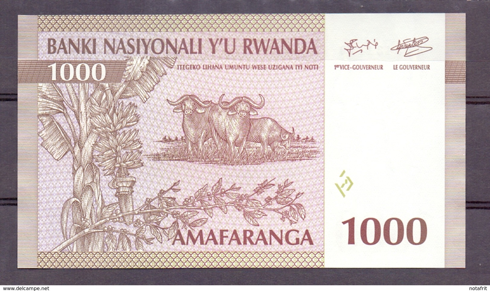 Rwanda 1000 Fr 1994 UNC  1 Year Type  Rare - Autres - Afrique