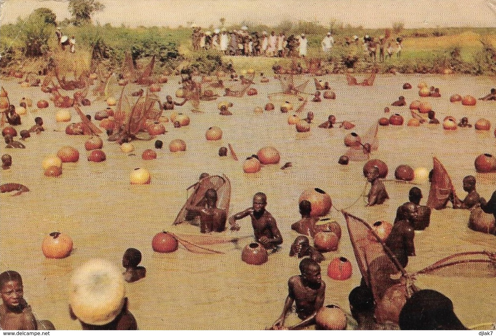 Nigeria Agunsu Rivière Sokoto Scène à La Fête De La Pêche Annuelle  (2 Scans) - Nigeria