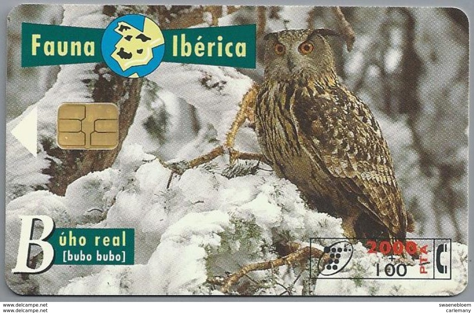 TELECARTE ESPAÑA ESPAGNE FAUNA - Autres & Non Classés