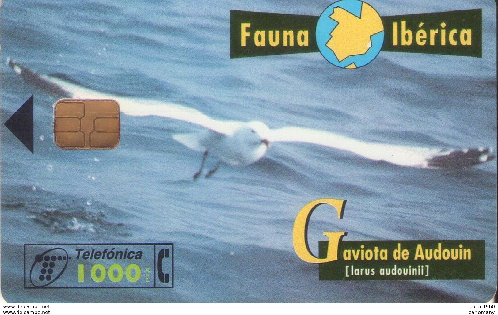 TELECARTE ESPAÑA ESPAGNE FAUNA GAVIOTA - Autres & Non Classés