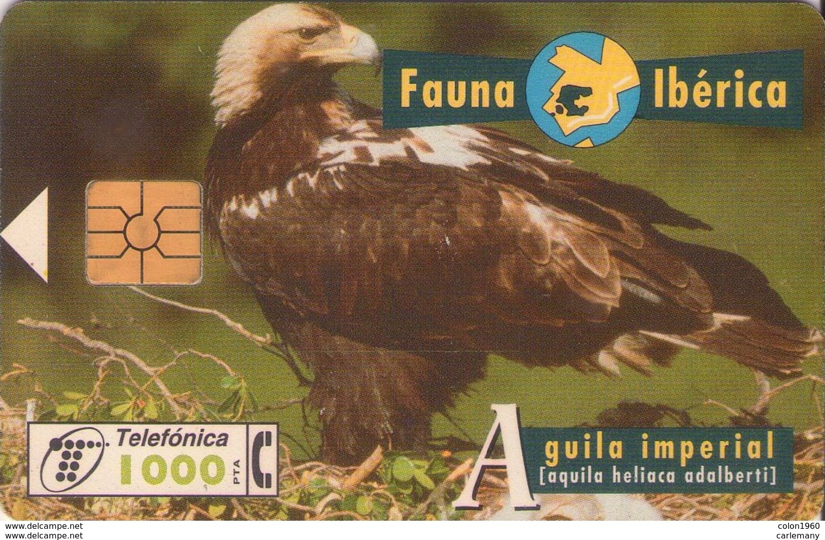 TELECARTE ESPAÑA ESPAGNE FAUNA AGUILA IMPERIAL - Autres & Non Classés