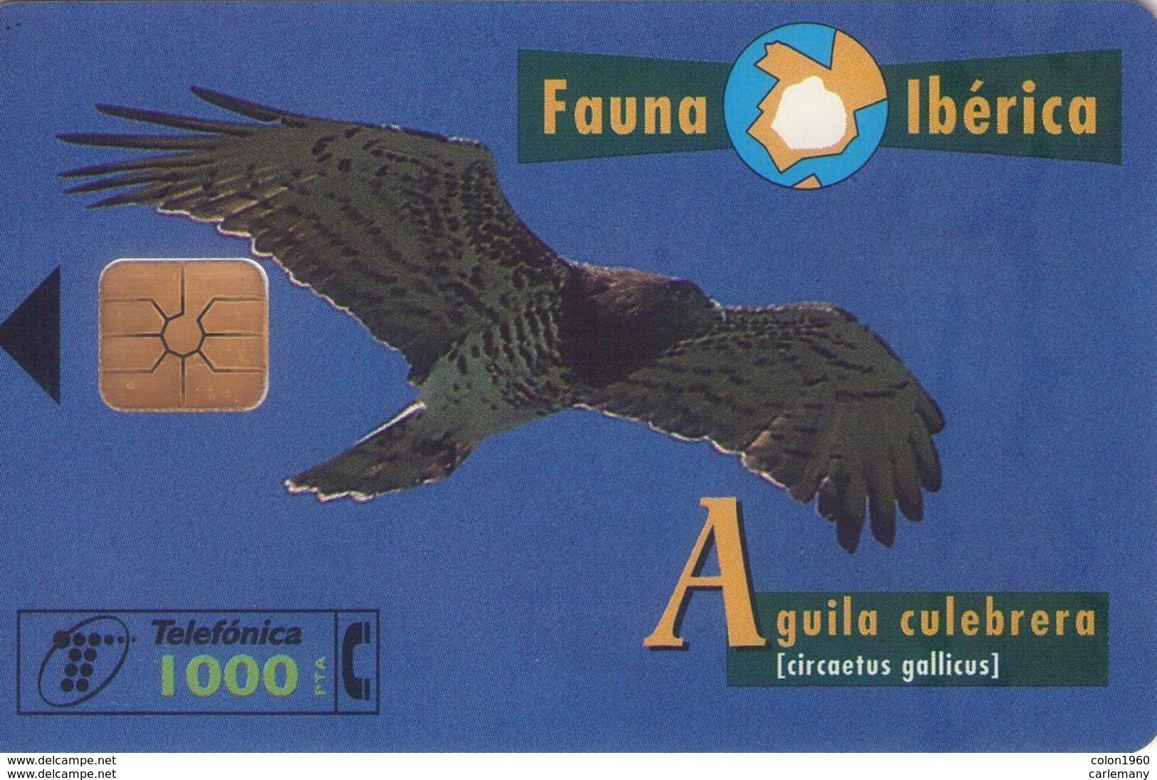 TELECARTE ESPAÑA ESPAGNE FAUNA AGUILA CULEBRA - Autres & Non Classés