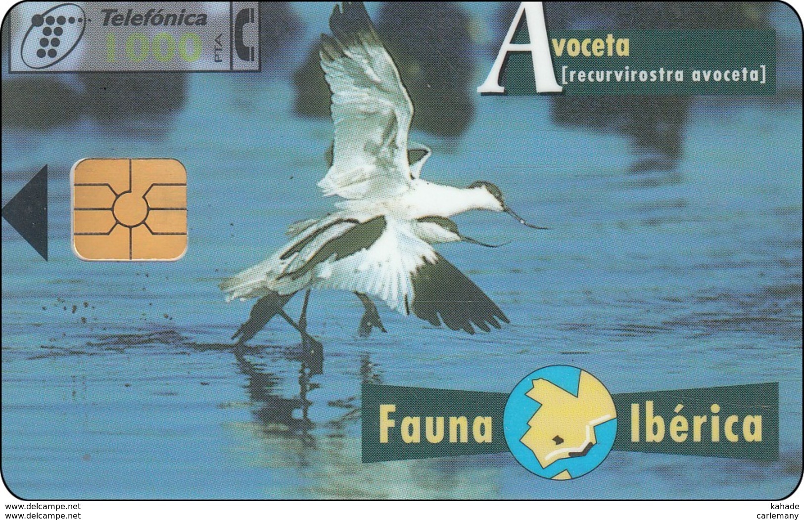 TELECARTE ESPAÑA ESPAGNE FAUNA - Autres & Non Classés