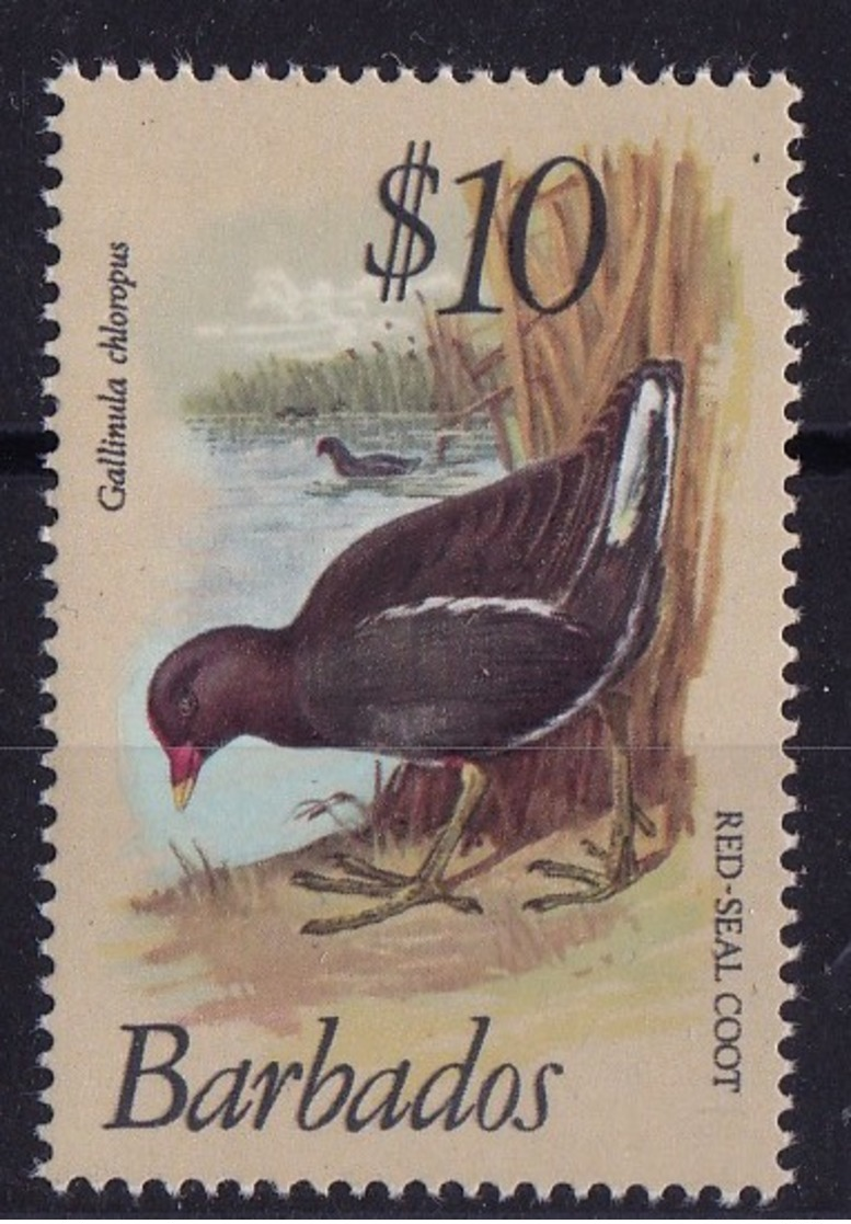 Barbados (Sc # 511) MNH (Single, Top Value Of Set) BIRDS (1979)s1 - Barbados (1966-...)